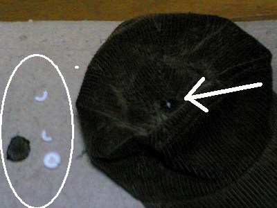 ありゃま、泣き別れ。 だーれがやった?