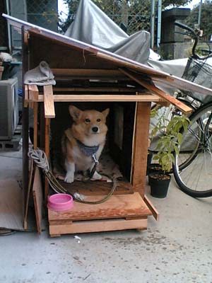 寝心地は如何ぁ??