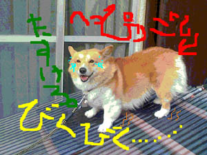 へっぴりごしで、びくびく、だれか、助けろ!