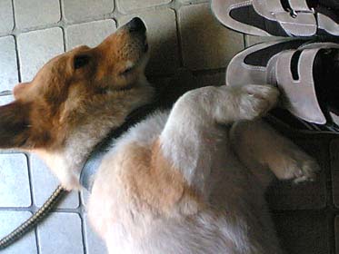 ぶぅーー、な。俺。